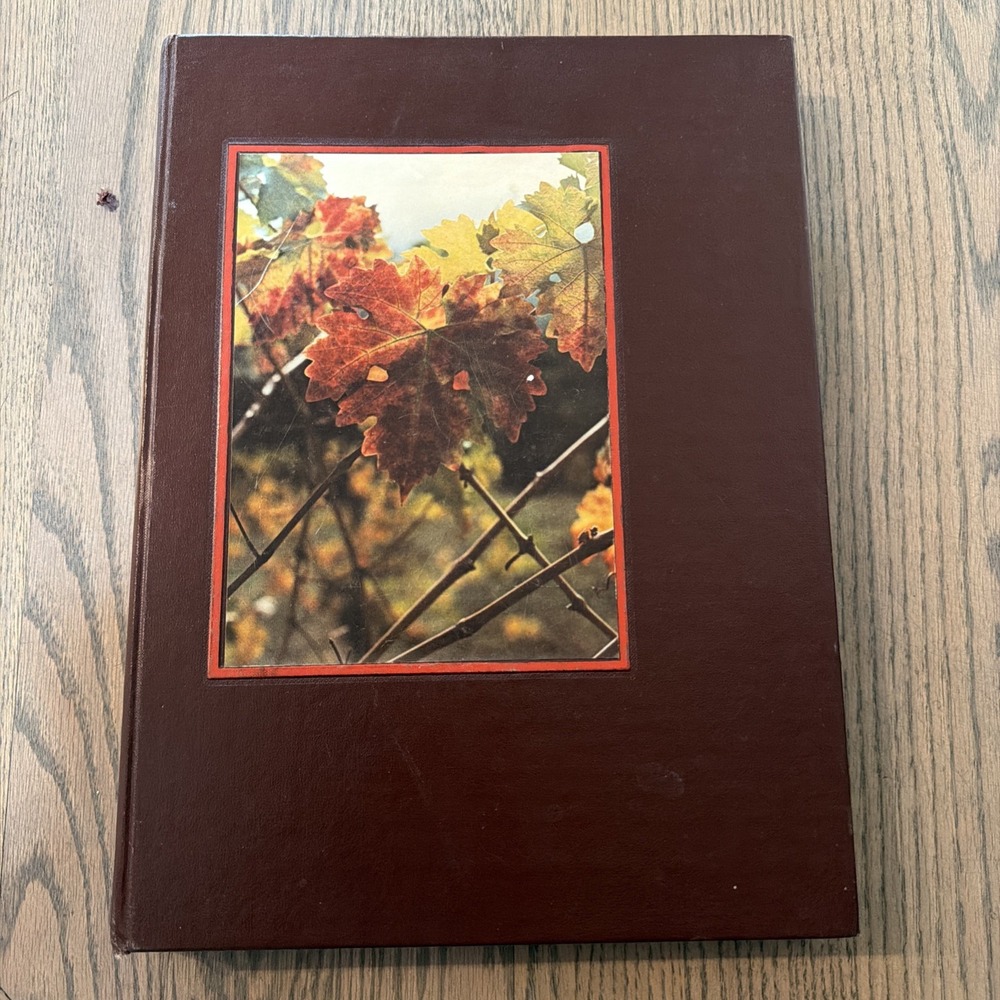 ORIGINAL 1974 SARATOGA HIGH SCHOOL YEARBOOK SARATOGA, CALIFORNIA Talisman